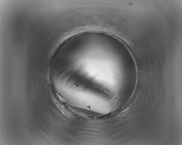 X0000070211499200606091611