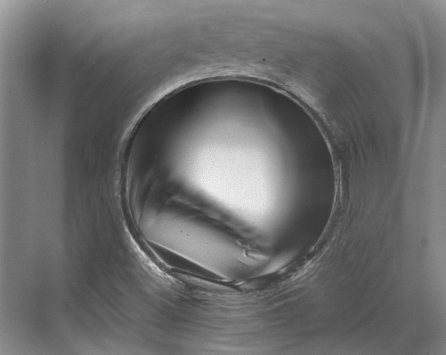 X0000070211500200606091611