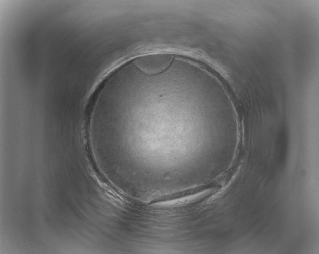 X0000070211501200606091611