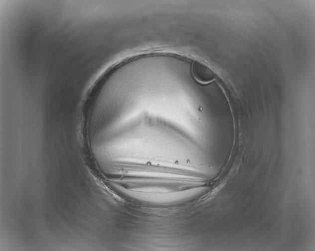 X0000070211502200606091611