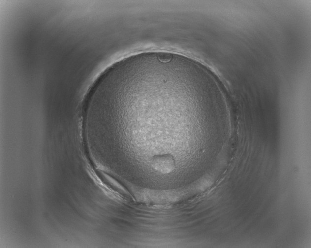 X0000070211503200606091611