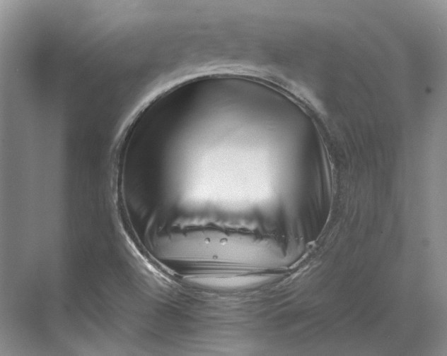 X0000070211504200606091611