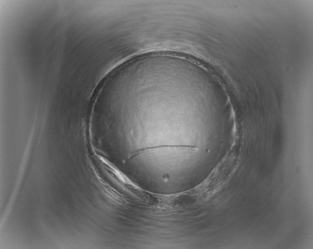 X0000070211505200606091611