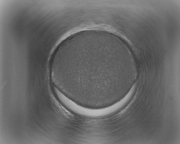 X0000070211506200606091611