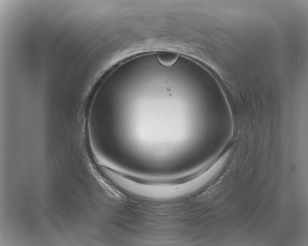 X0000070211507200606091611