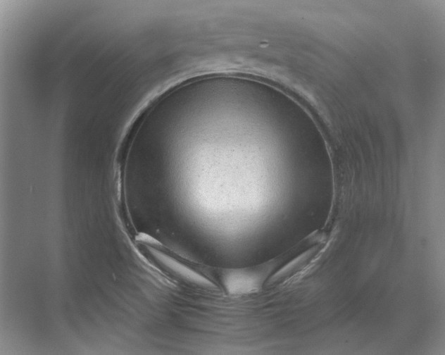 X0000070211509200606091611