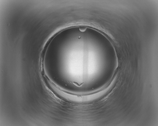 X0000070211510200606091611