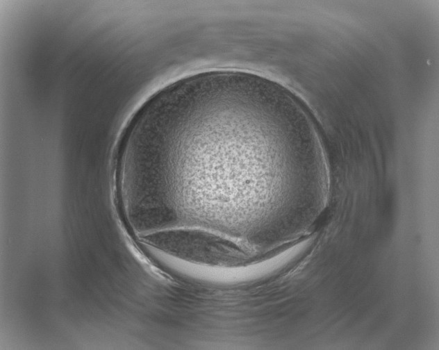 X0000070211511200606091611