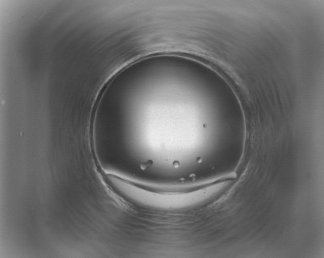 X0000070211513200606091611