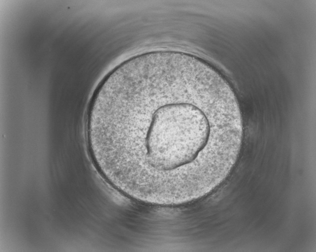 X0000070211514200606091611