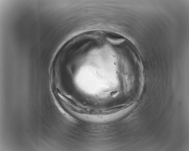 X0000070211515200606091611