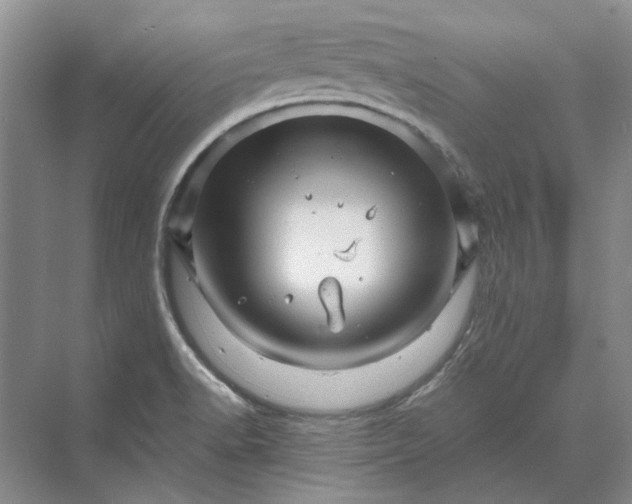 X0000070211518200606091611