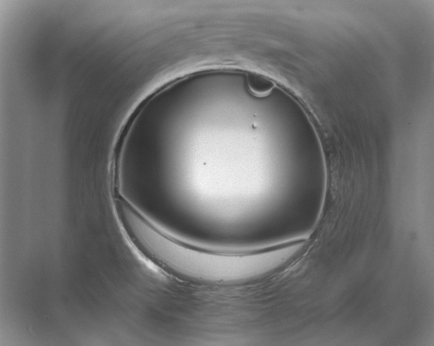 X0000070211519200606091611