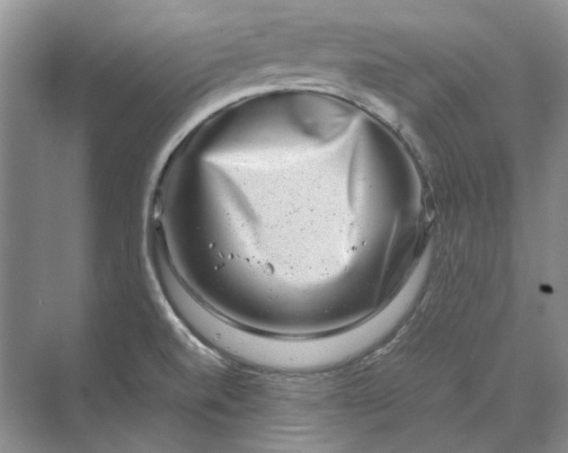 X0000070211520200606091611