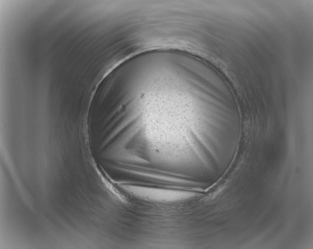 X0000070211521200606091611