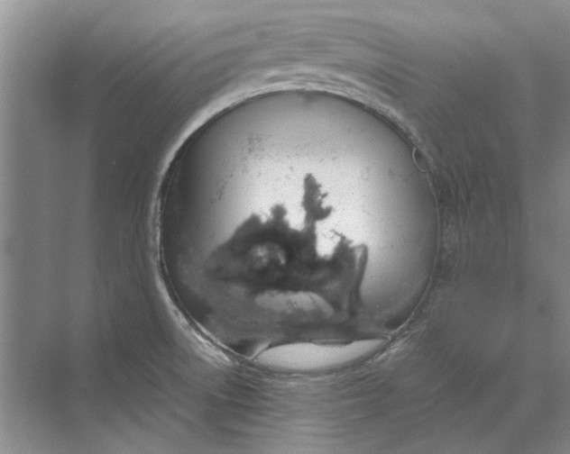 X0000070211522200606091611