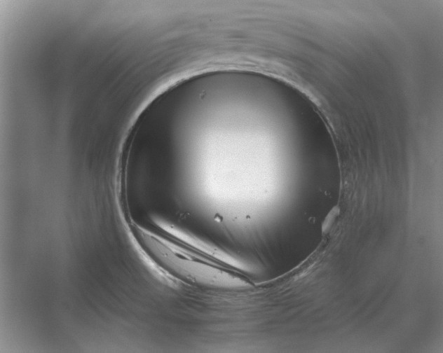 X0000070211523200606091611