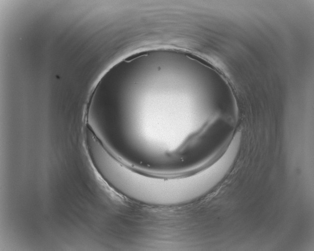 X0000070211524200606091611