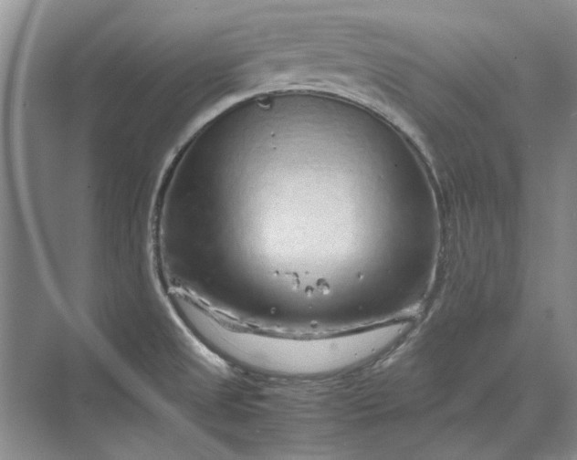 X0000070211525200606091611