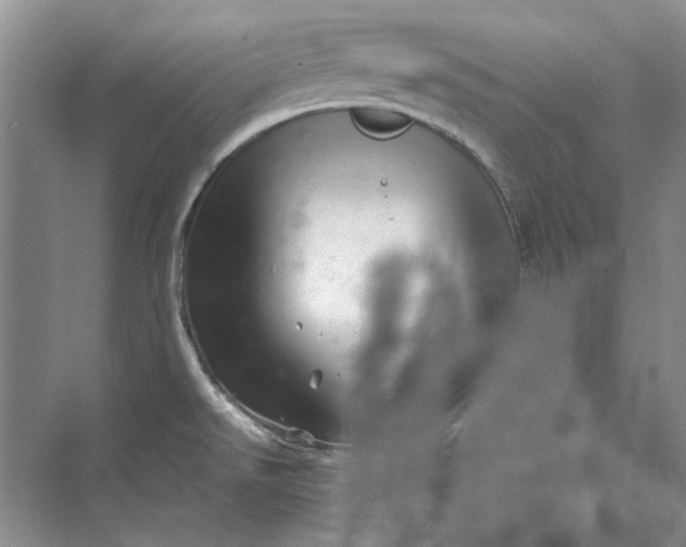 X0000070211526200606091611