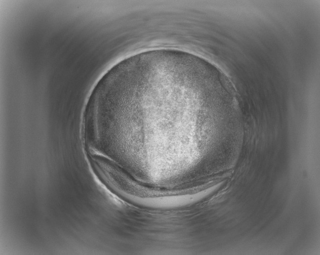 X0000070211527200606091611