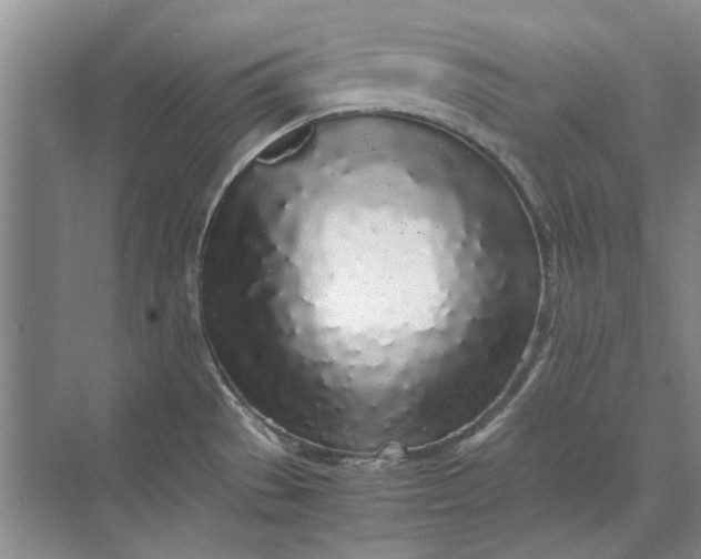 X0000070211529200606091611