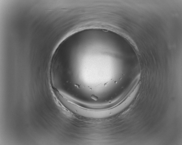 X0000070211530200606091611