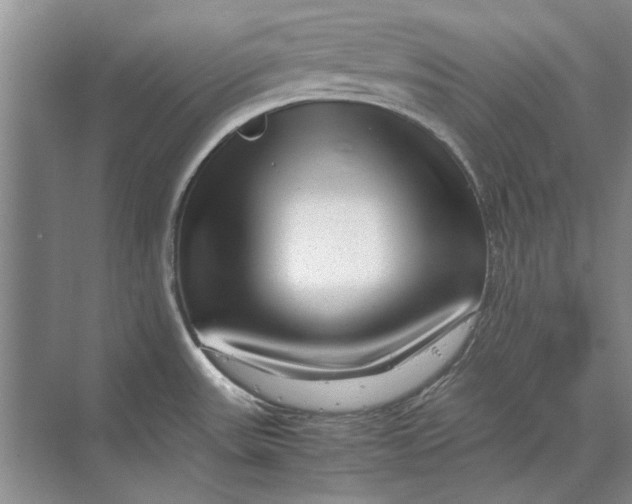 X0000070211531200606091611