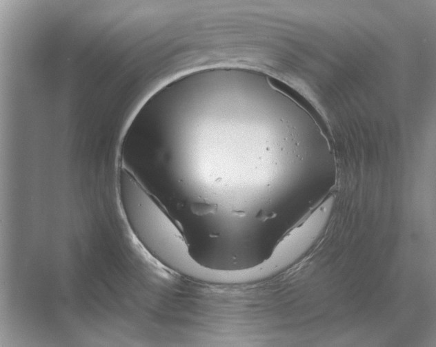 X0000070211532200606091611