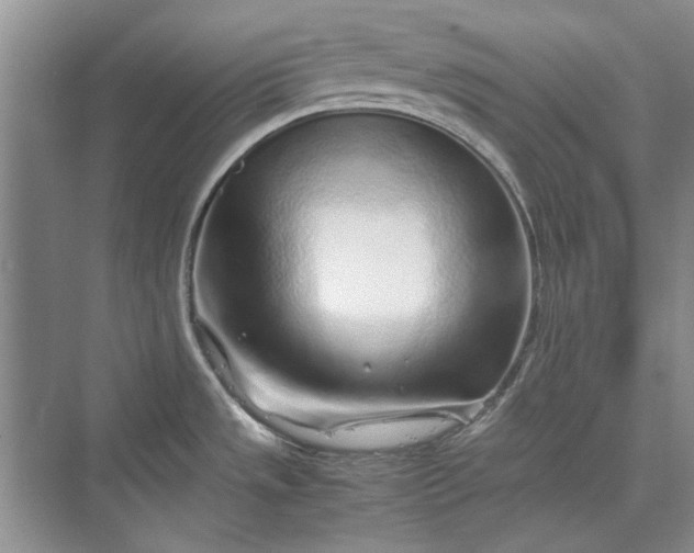 X0000070211533200606091611