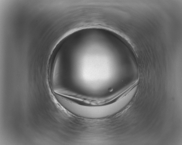 X0000070211534200606091611