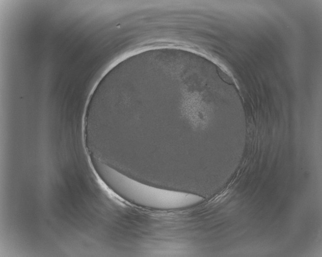 X0000070211535200606091611