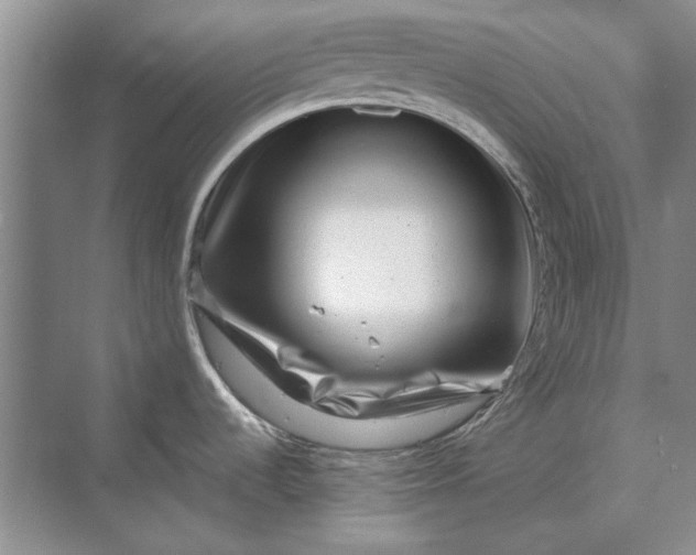 X0000070211536200606091611