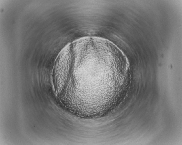 X0000070210030200606161653