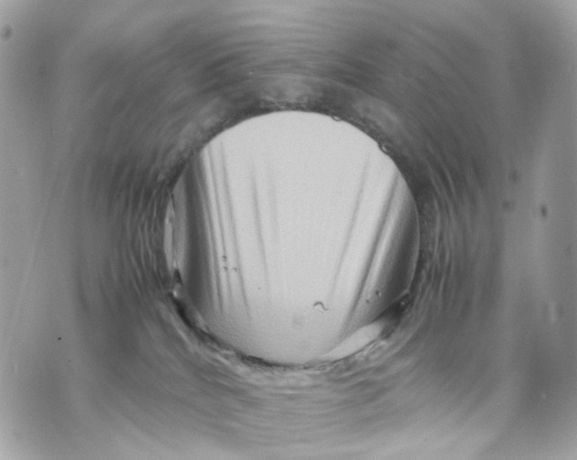 X0000070210040200606161653