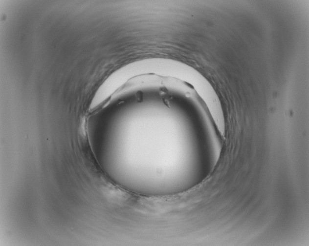 X0000070210041200606161653