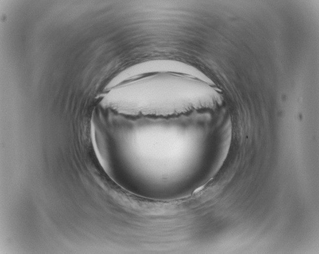 X0000070210044200606161653