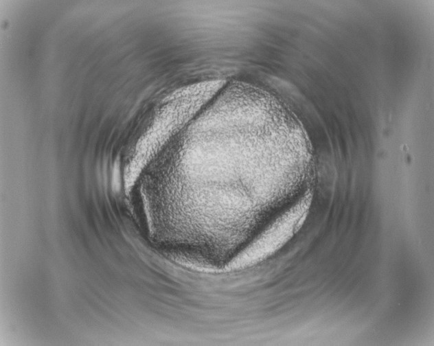 X0000070210046200606161653