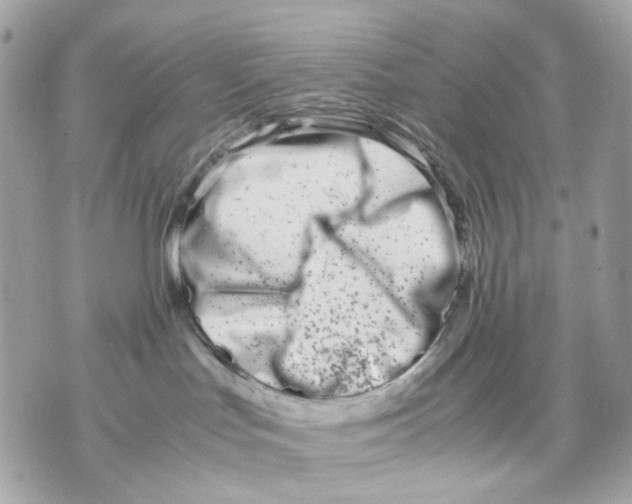 X0000070210047200606161653