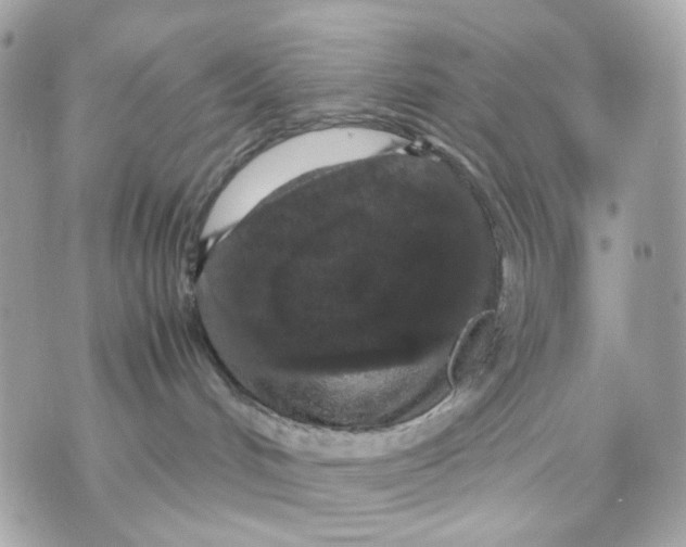 X0000070210048200606161653