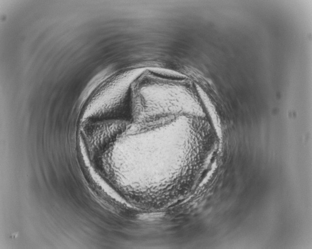 X0000070210051200606161652