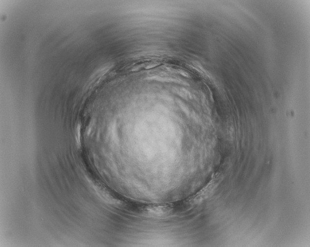 X0000070210070200606161652