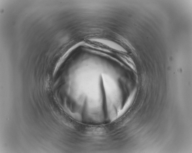X0000070210073200606161652