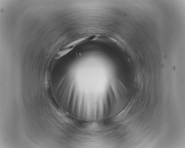 X0000070210074200606161652
