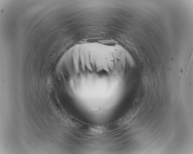X0000070210079200606161652