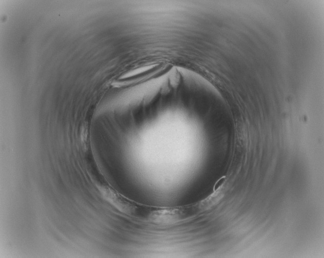 X0000070210082200606161652