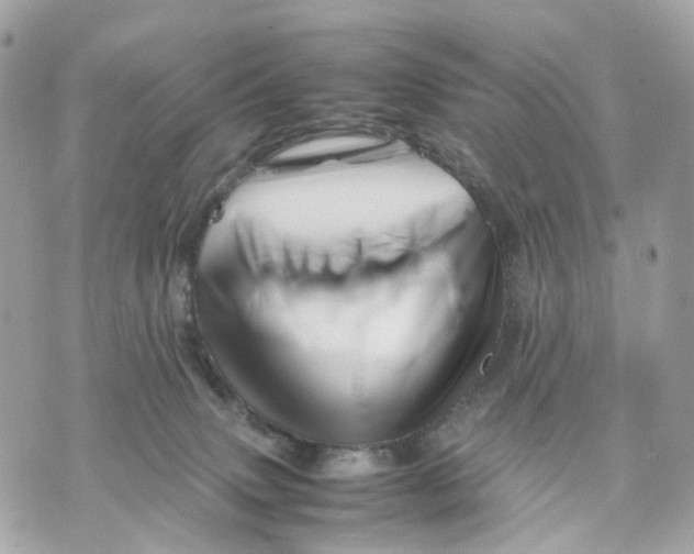 X0000070210083200606161652