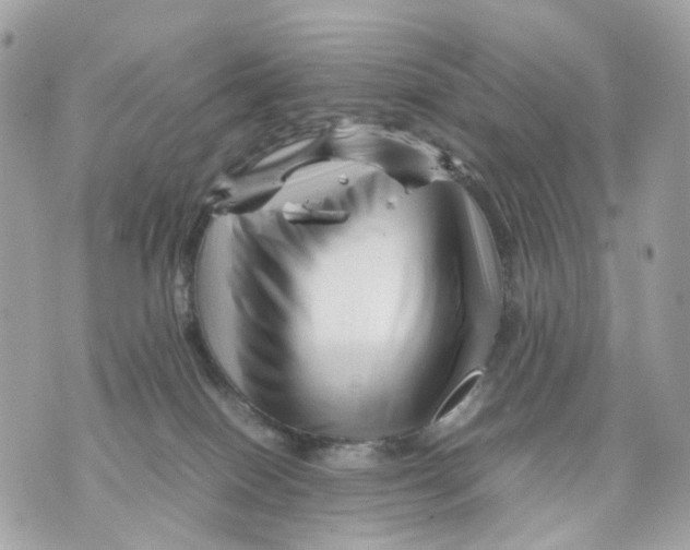X0000070210086200606161652