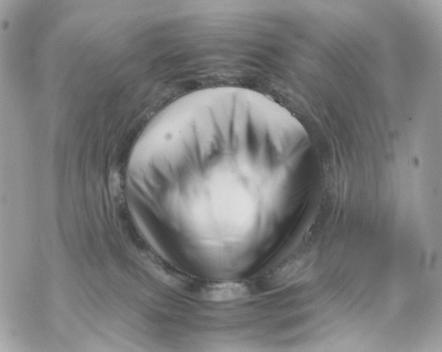 X0000070210087200606161652
