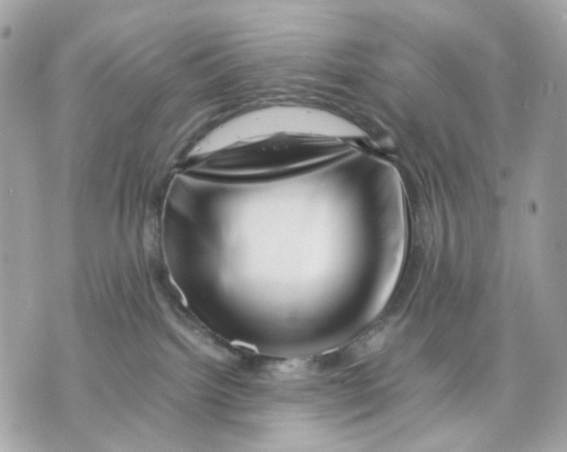 X0000070210092200606161652